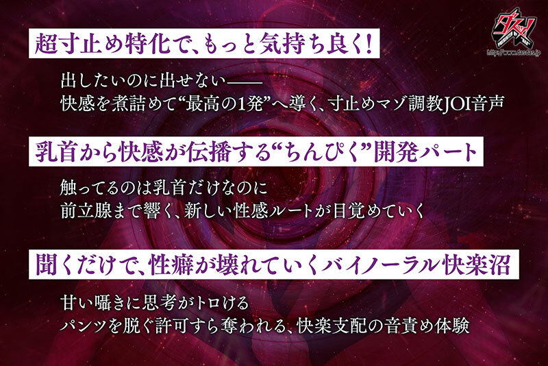 企画の見どころを3点で紹介するカード